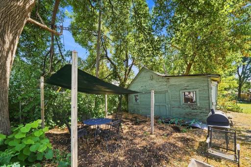 Back yard