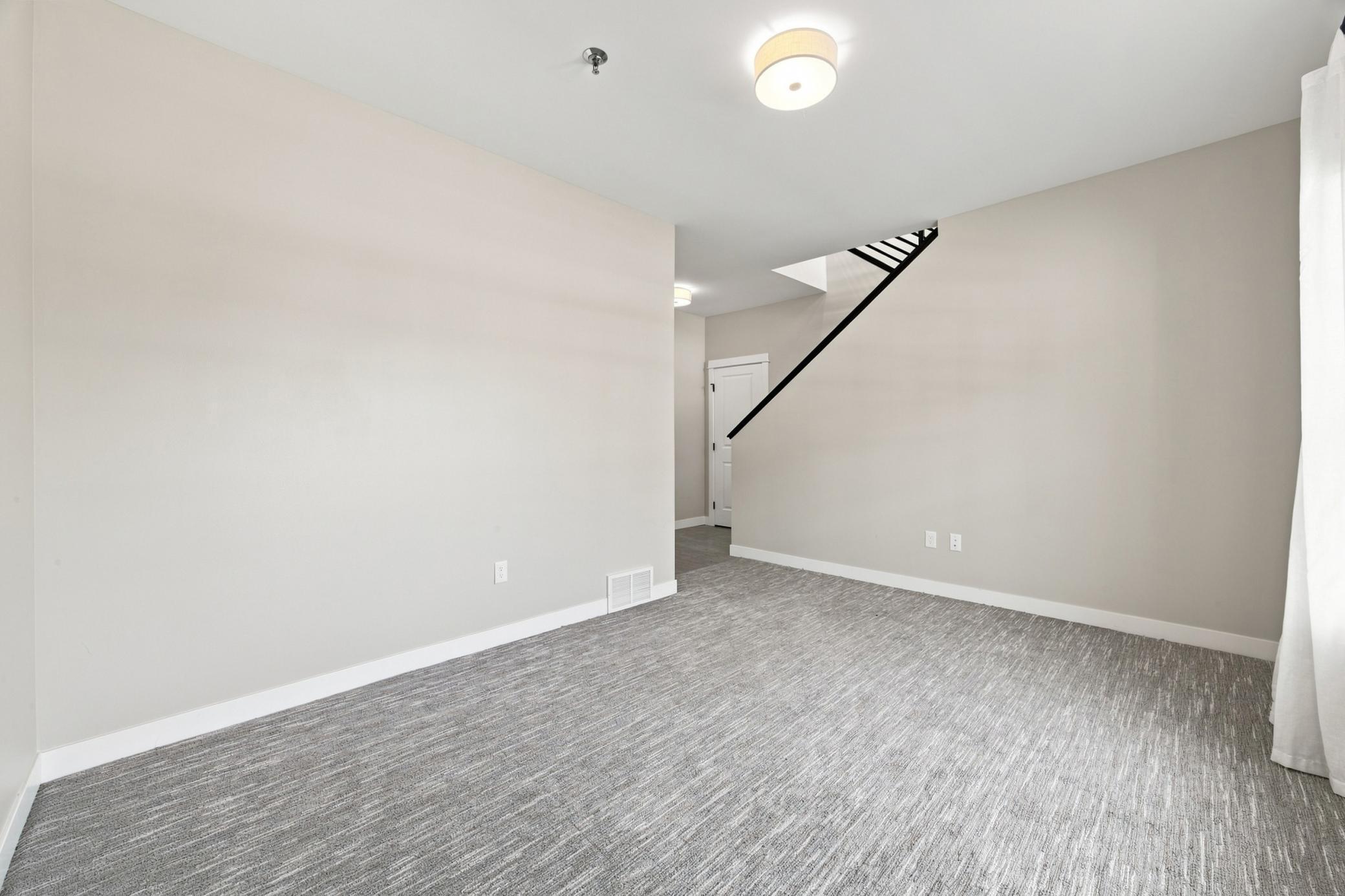 lower level Family room/flex space