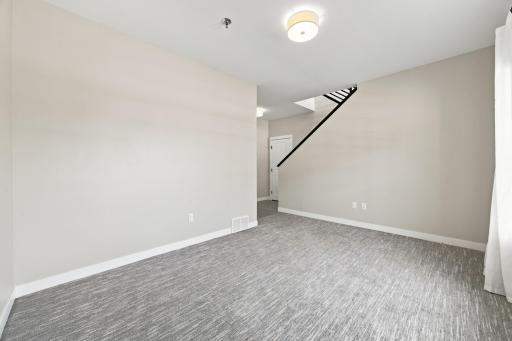 lower level Family room/flex space