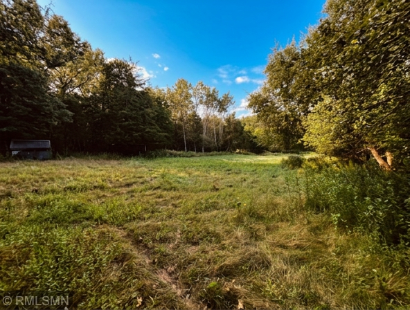 Would make a great pasture area! Current seller had cattle at one time.