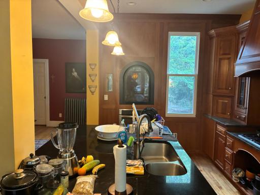 Kitchen view