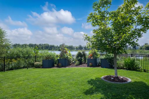 Sunny space for raised garden beds.