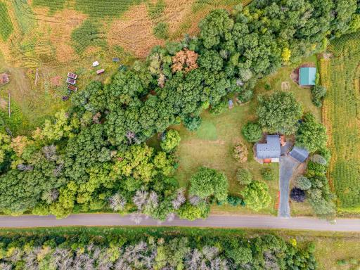 From above, the full 1.5-acre property comes into perspective.