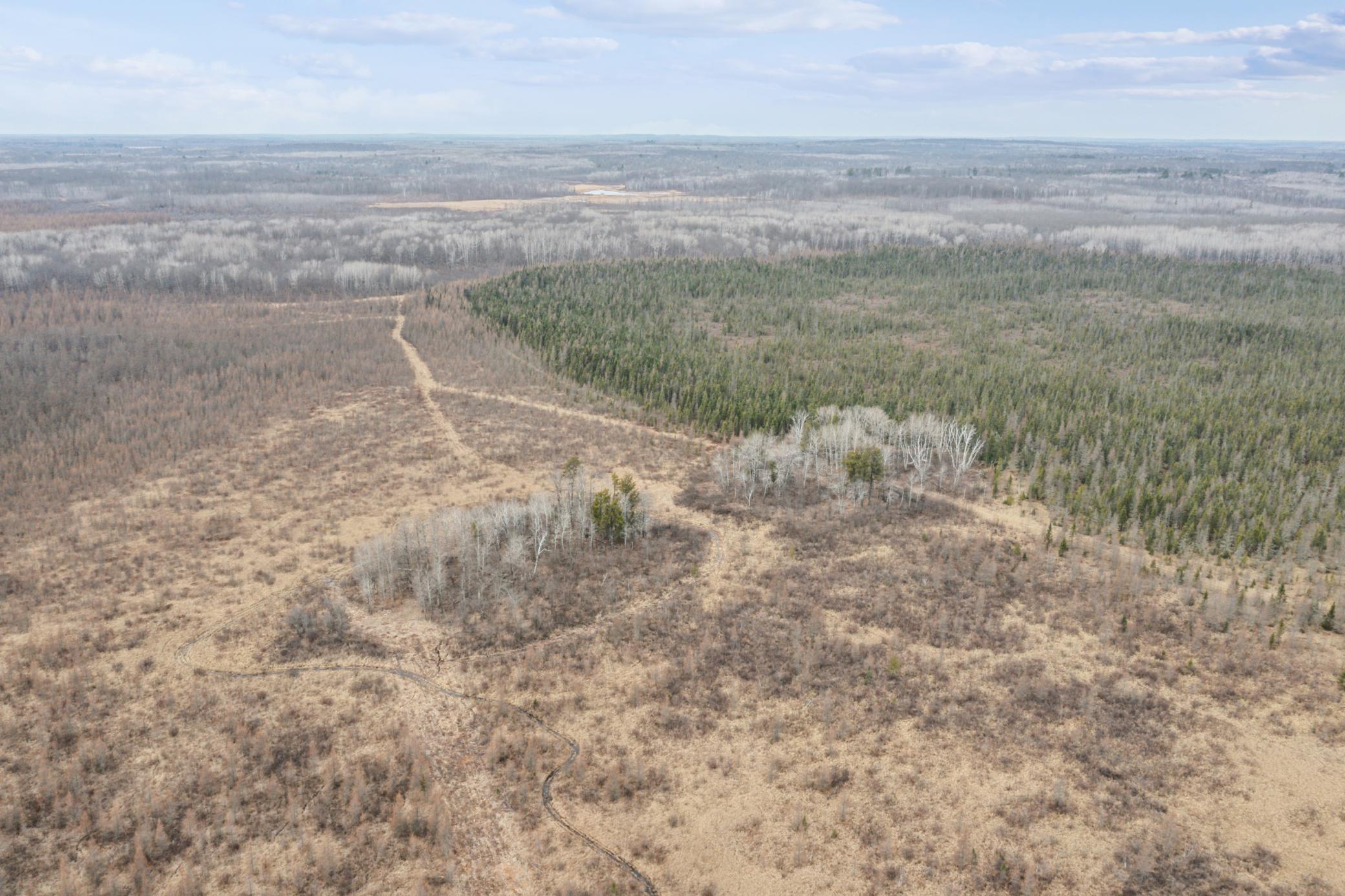 236+ Acre Piece of Affordable Hunting and Recreational Property