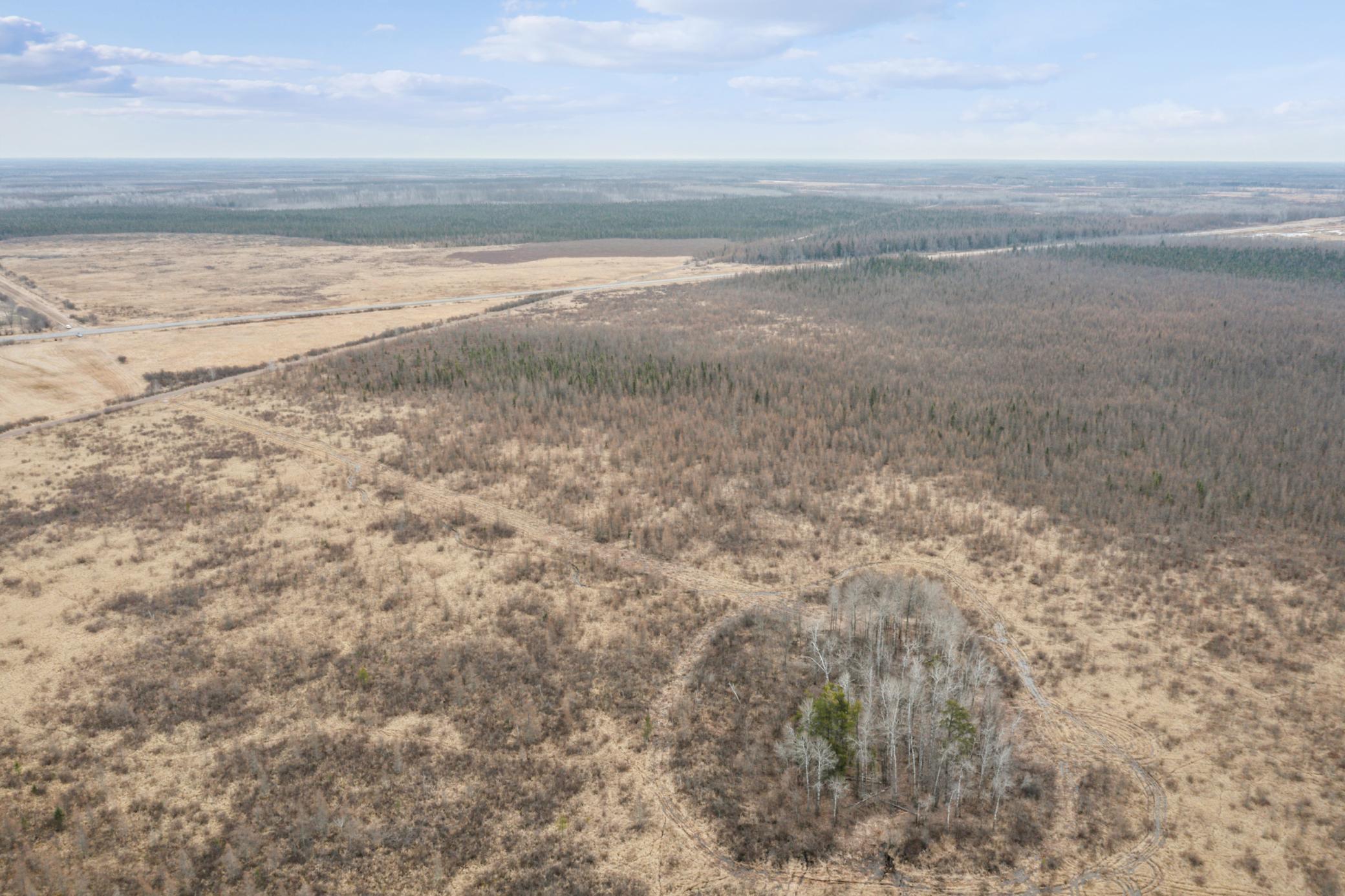 236+ Acre Piece of Affordable Hunting and Recreational Property