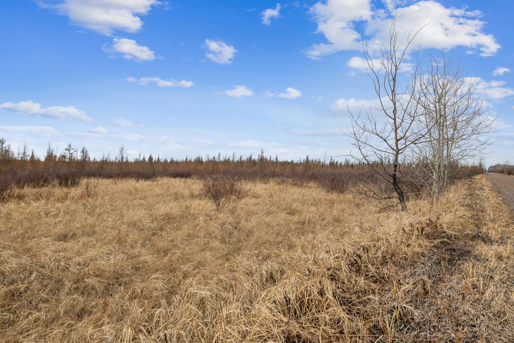 Expansive, Affordable Hunting and Recreational Land with Endless Potential
