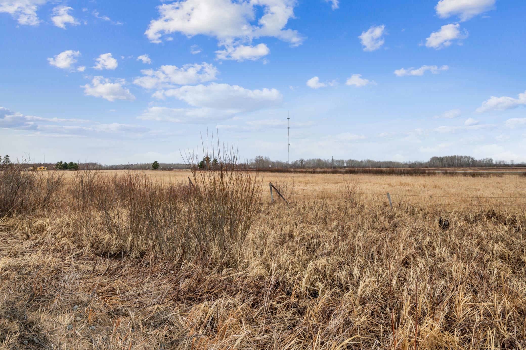 Expansive, Affordable Hunting and Recreational Land with Endless Potential