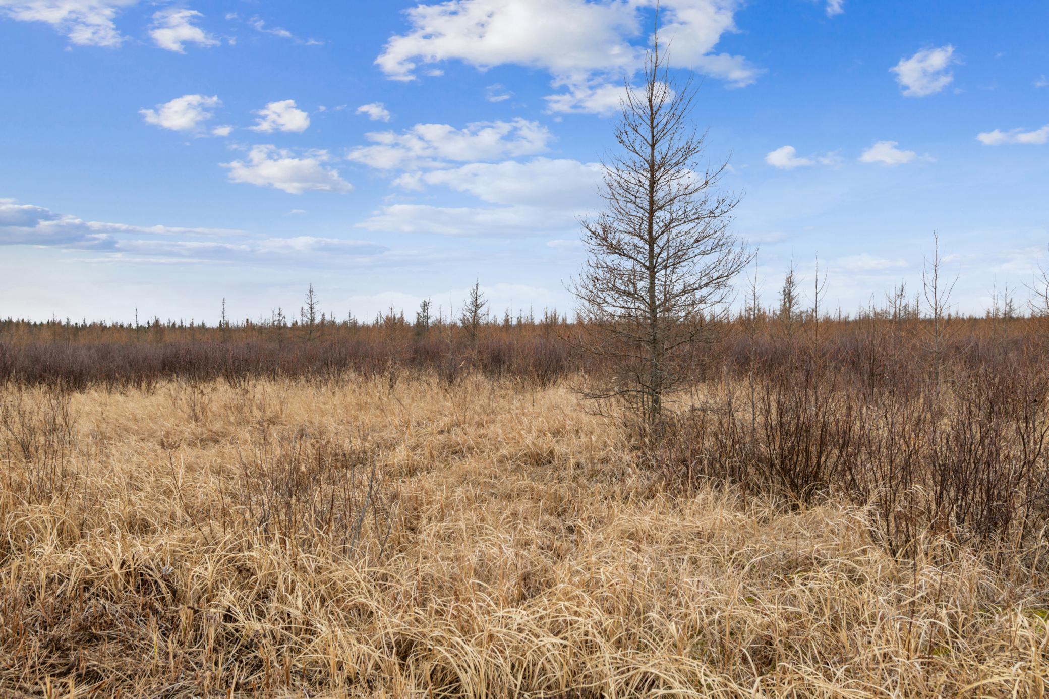 Affordable Acreage with Recreational Opportunities
