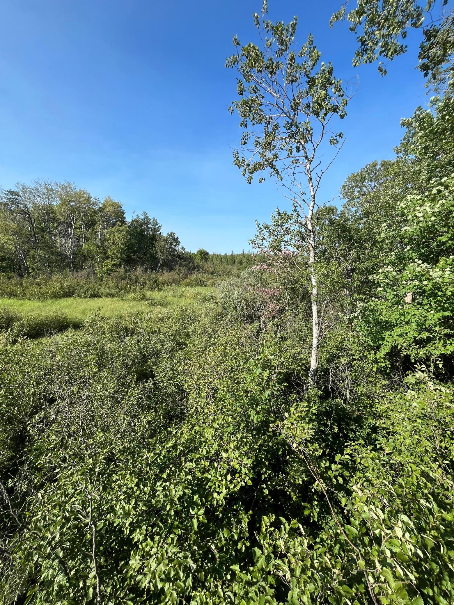 A Hunter's Dream Property with Diverse Terrain and Cover