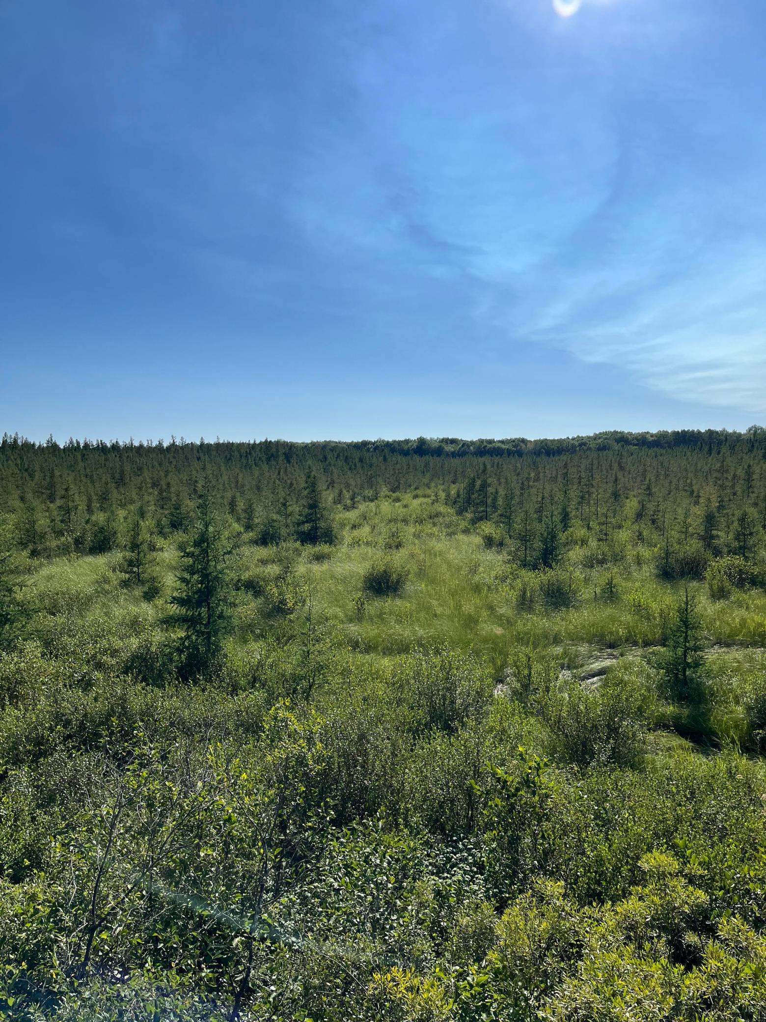236+ Acre Piece of Affordable Hunting and Recreational Property