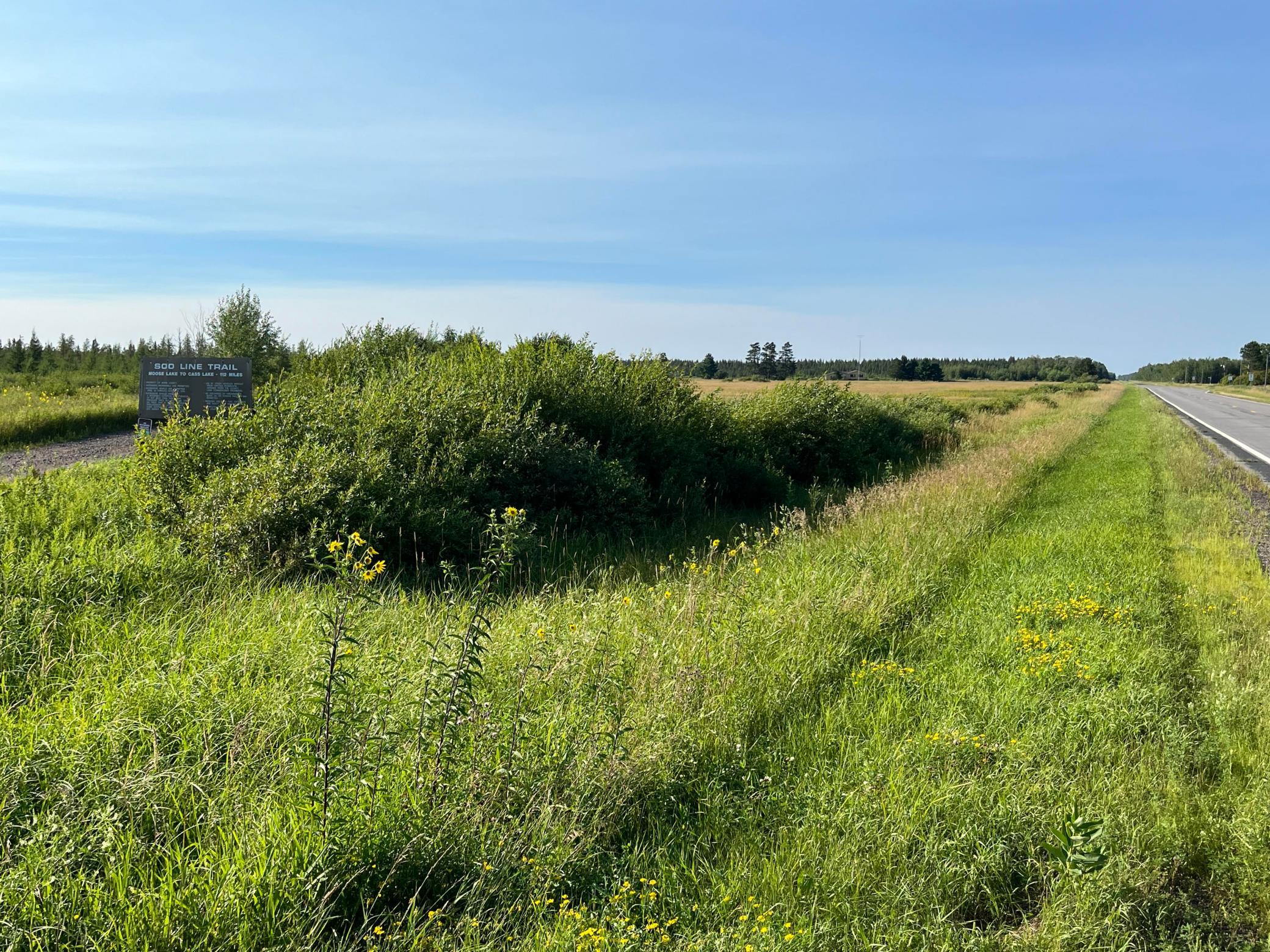 236+ Acre Piece of Affordable Hunting and Recreational Property