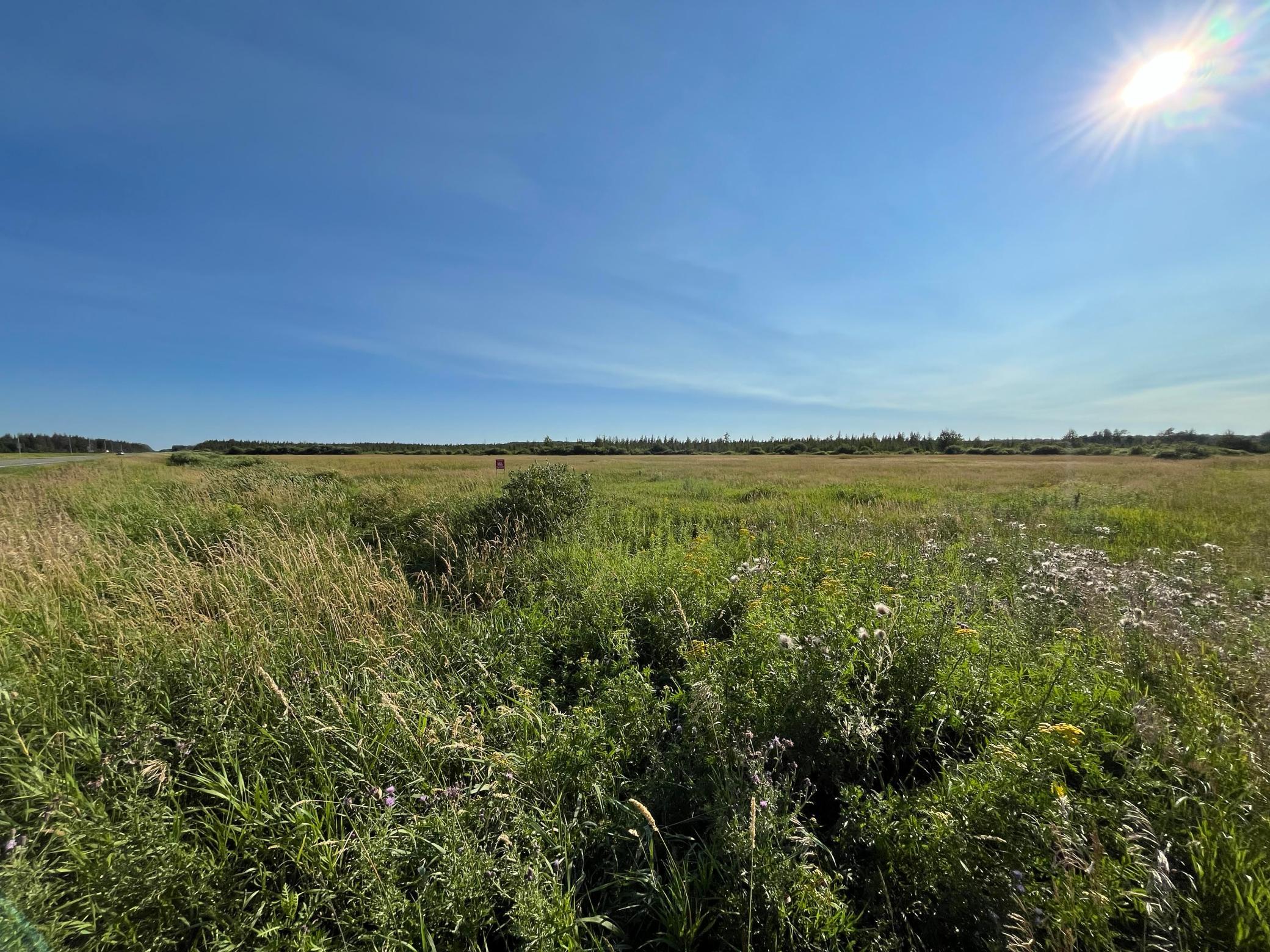 236+ Acre Piece of Affordable Hunting and Recreational Property