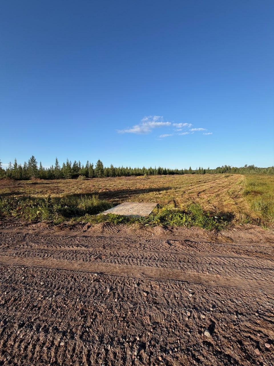 Easy Access to the SOO Line Trail from the Property