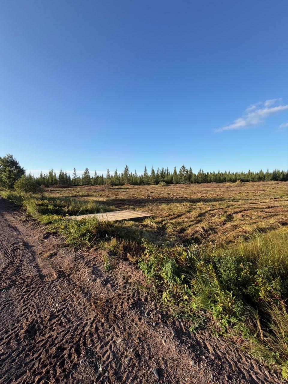 Easy Access to the SOO Line Trail from the Property
