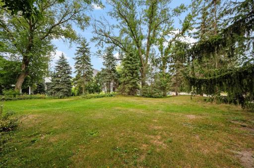Spacious Yard