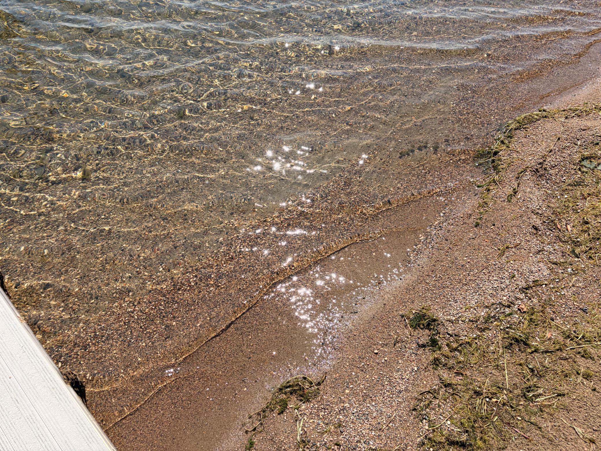 IMG_9585.jpeg