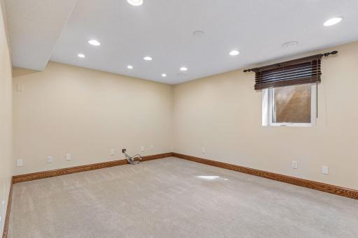 Second lower level bedroom with dual closets