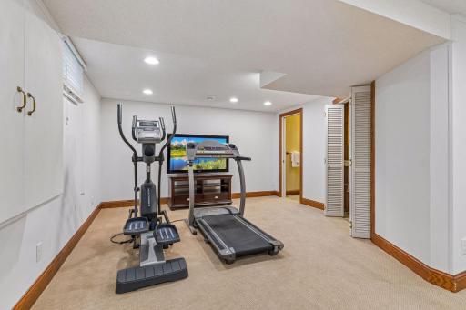 Lower level flex space with louvered closet doors