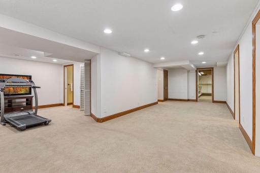 Lower level recreation room with adjacent storage access
