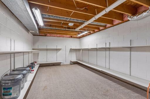 Unfinished storage area with shelving and utility access