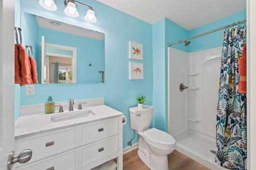 Lower-level bathroom with walk-in shower