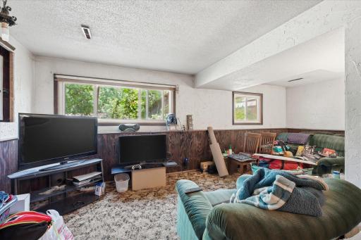 Lower level family room_6515 Fridley St NE