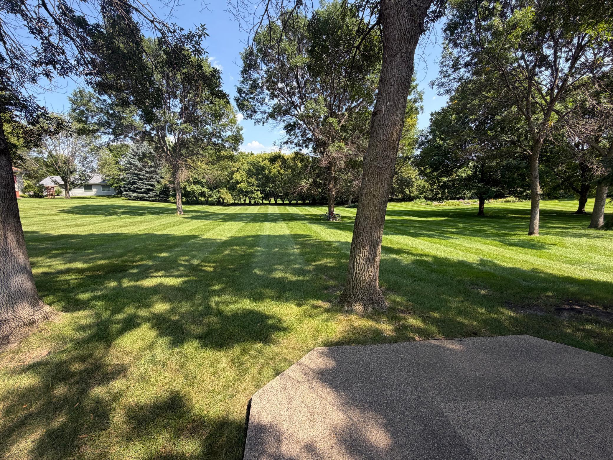 IMG_3619.jpeg