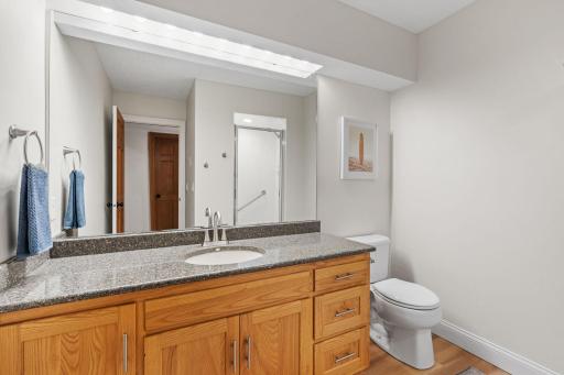 Lower level bathroom includes a walk-in shower, and new paint, trim, and flooring.