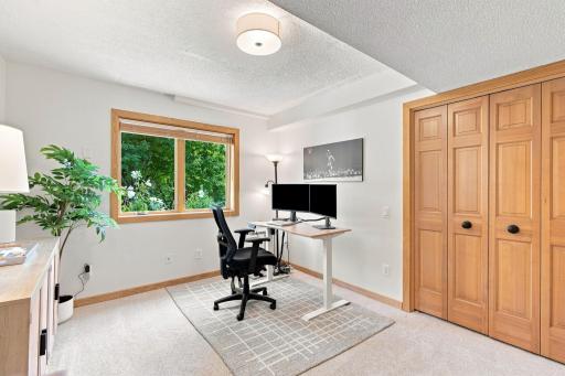 Lower level bedroom or home office.