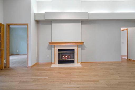 Gas fireplace