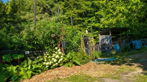 DJI_20260825105147_0921_D-HDR.jpeg