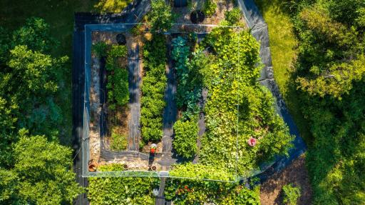 DJI_20260825110122_0957_D-HDR.jpeg