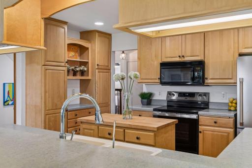 1709 Preston Lane, Hopkins, MN 55343