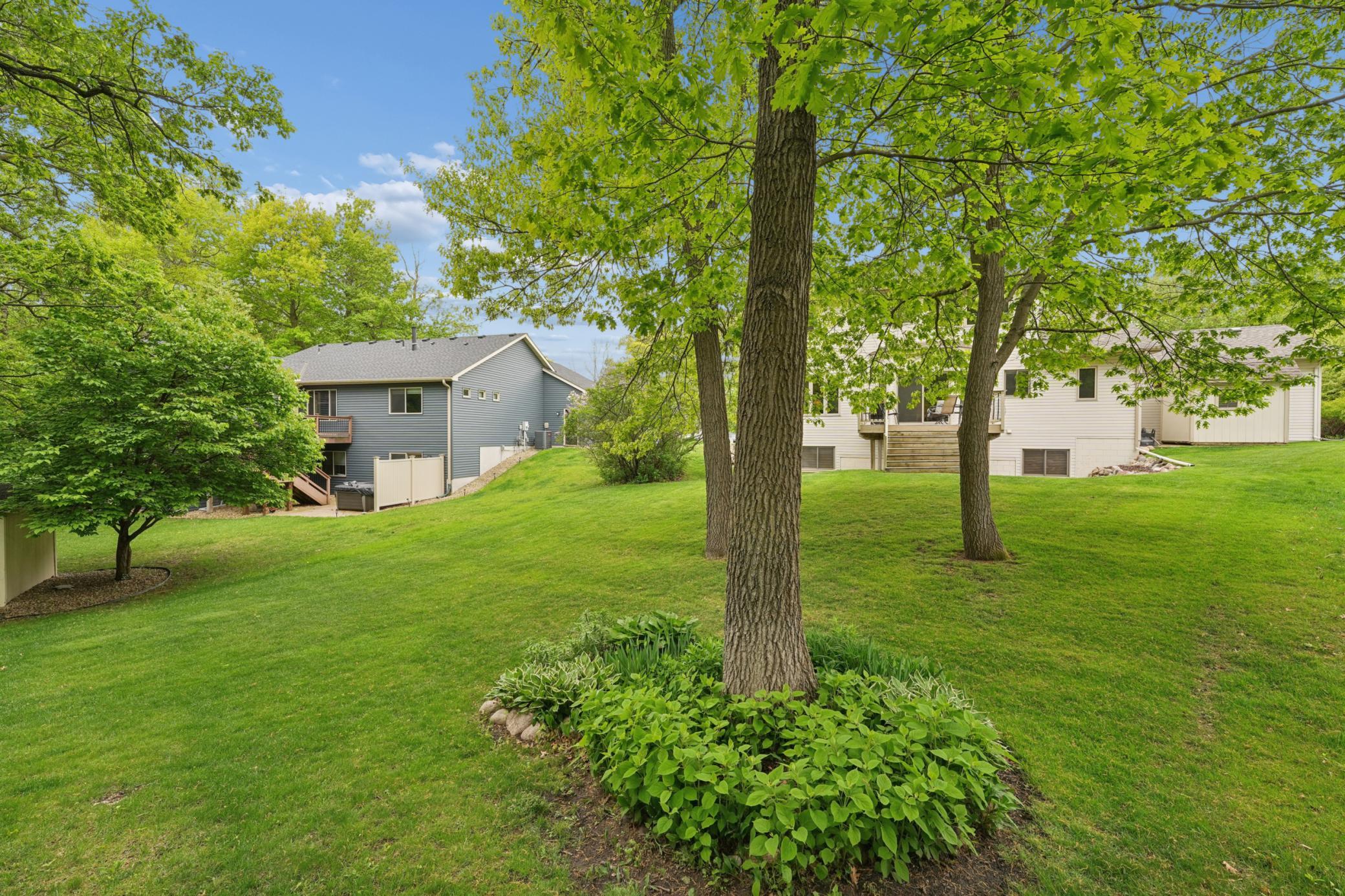 Semi-Wooded Backyard