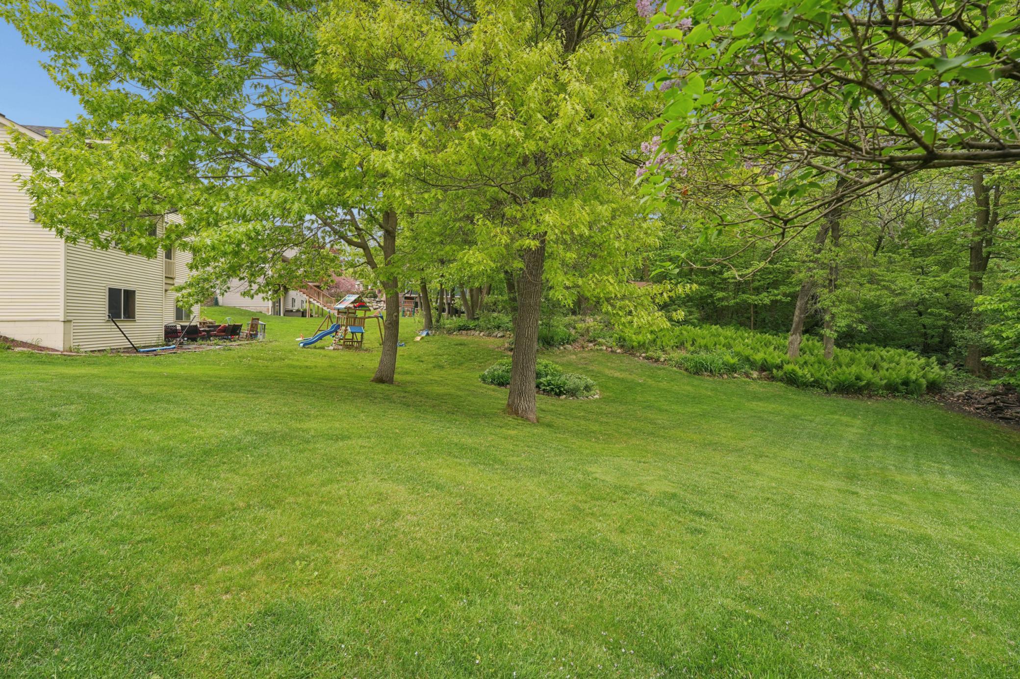 Semi-Wooded Backyard