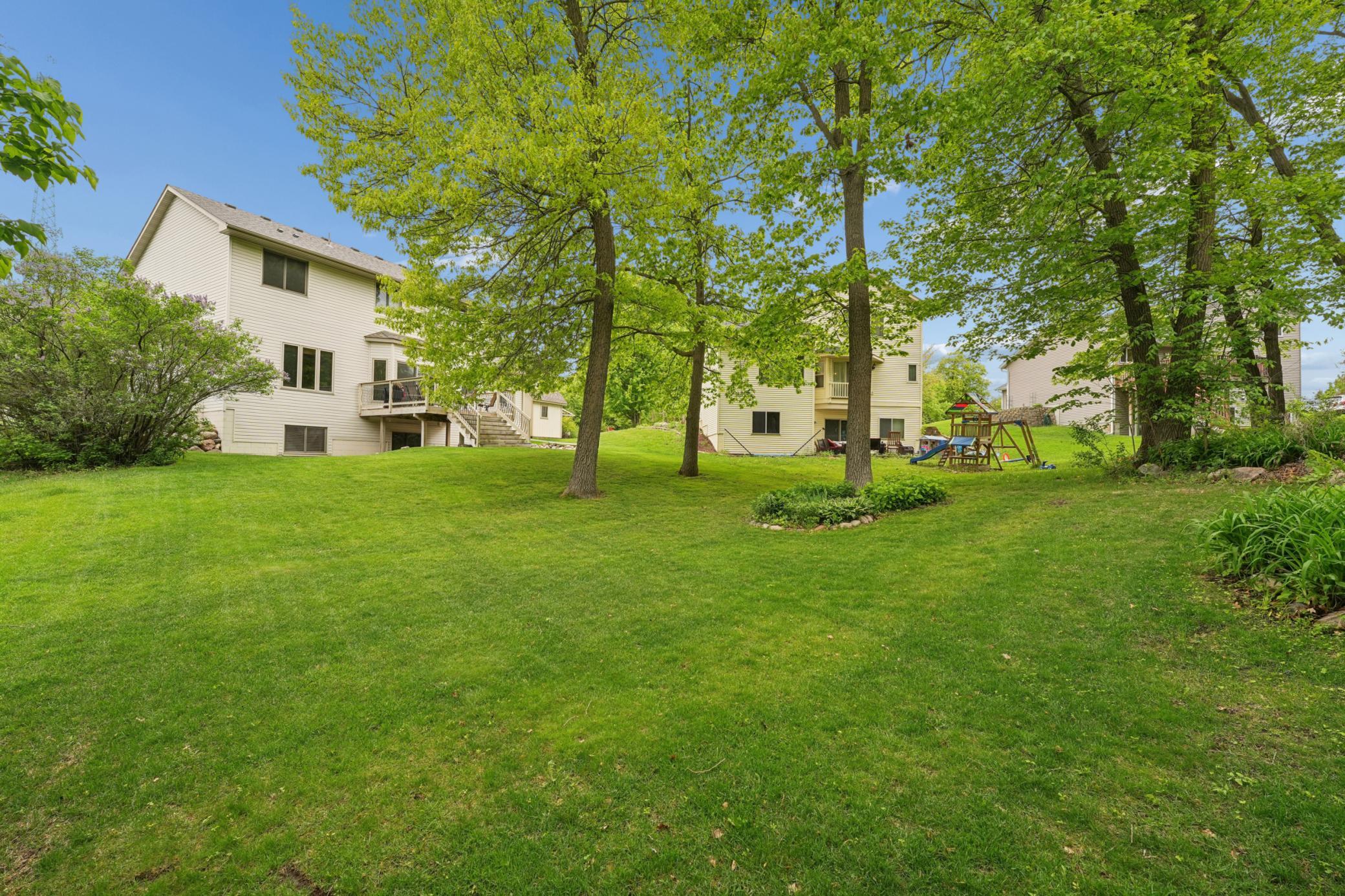 Semi-Wooded Backyard