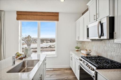 (Photo of model home, finishes will vary) A close up at some of the beautiful appliances!