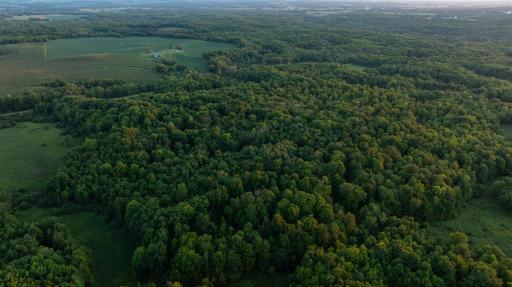 DJI_20260818195730_0893_D.jpg