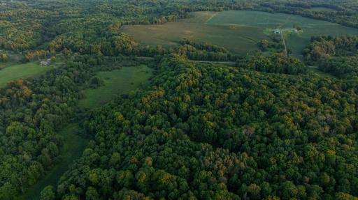 DJI_20260818195756_0894_D.jpg