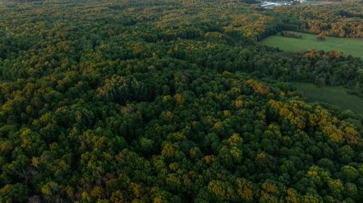 DJI_20260818200135_0907_D.jpg