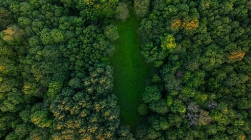 DJI_20260818200238_0911_D.jpg