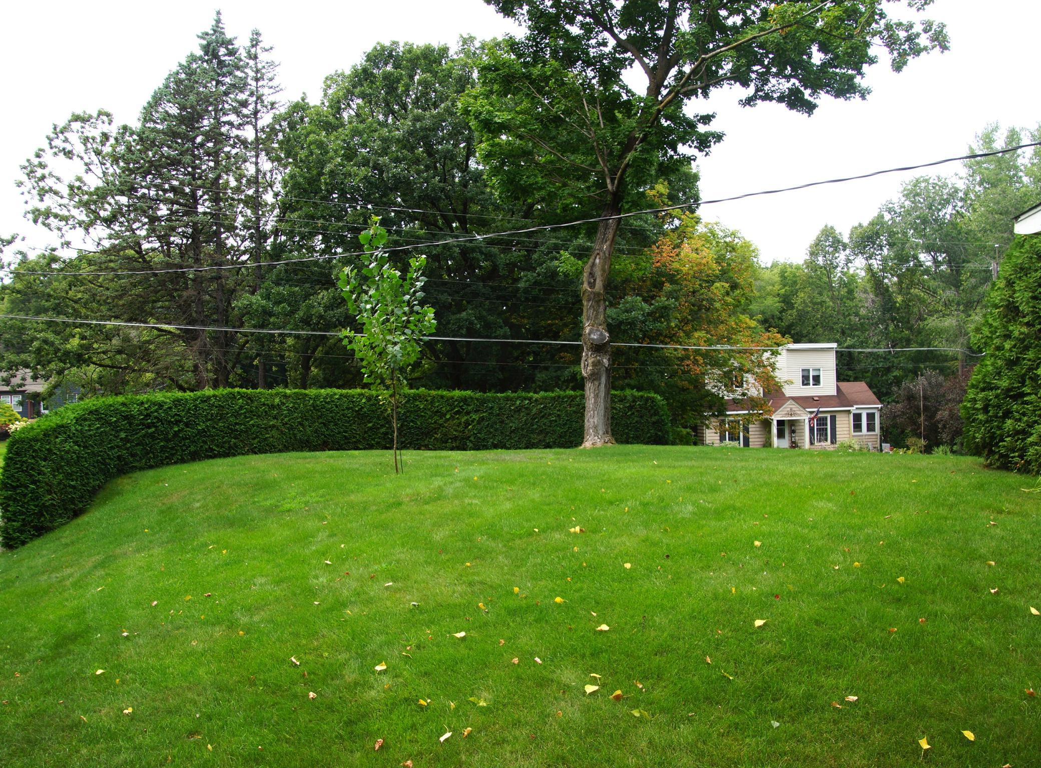Hedge framed current front yard.