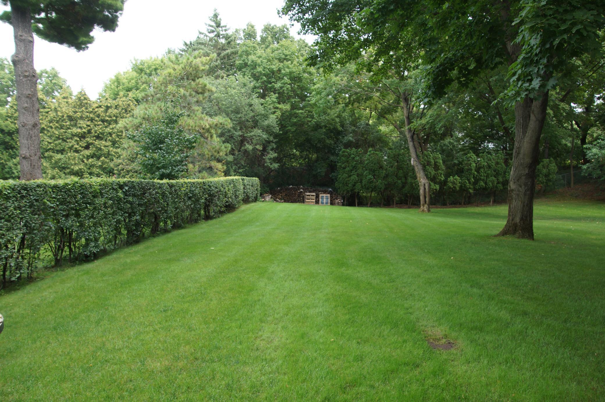 View to the north east corner and firepit. The hedge is on this lot and marks the lot line.