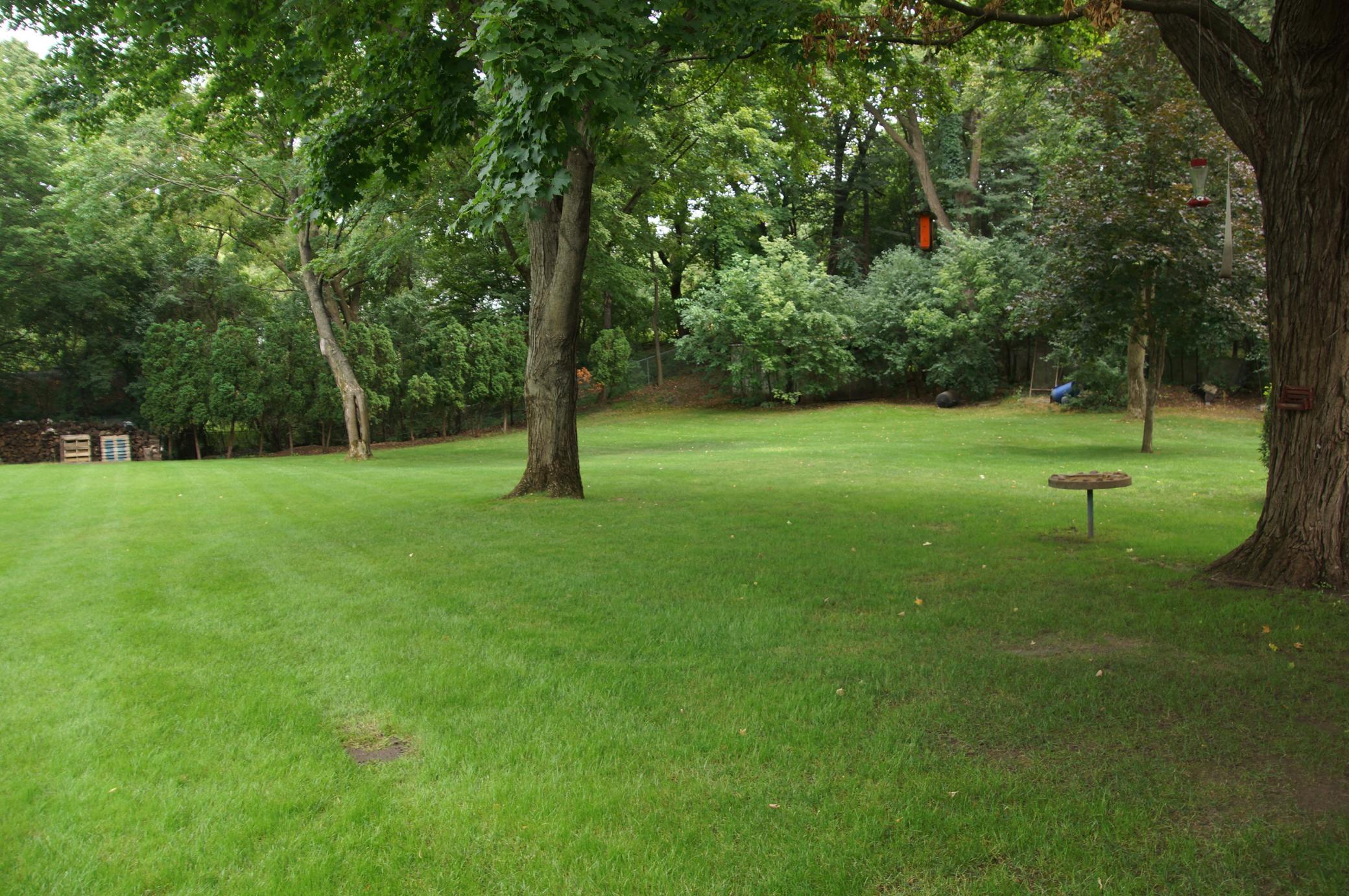 Standing behind current garage looking east. Firepit is at the back left corner, current shed is at the right corner on the small rise behind the tree overhang.