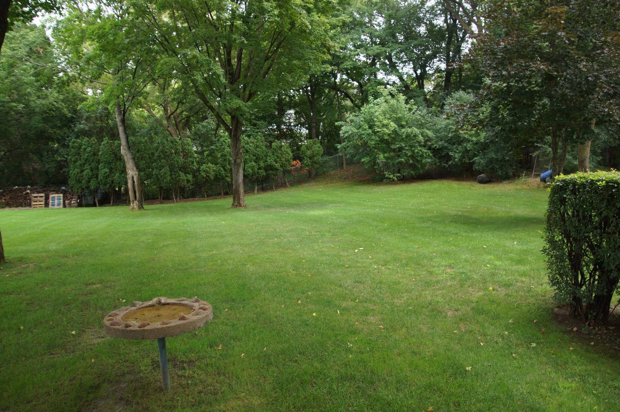 Standing behind current garage looking east. Firepit is at the back left corner, current shed is at the right corner on the small rise behind the tree overhang.