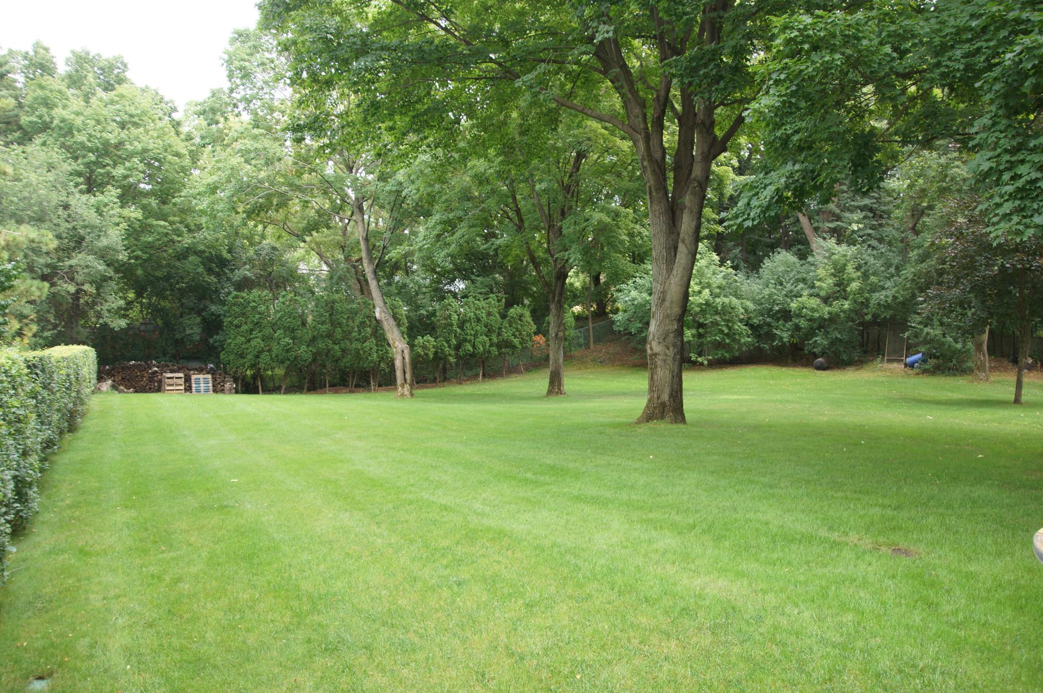 View to the north east corner and firepit. The hedge is on this lot and marks the lot line.