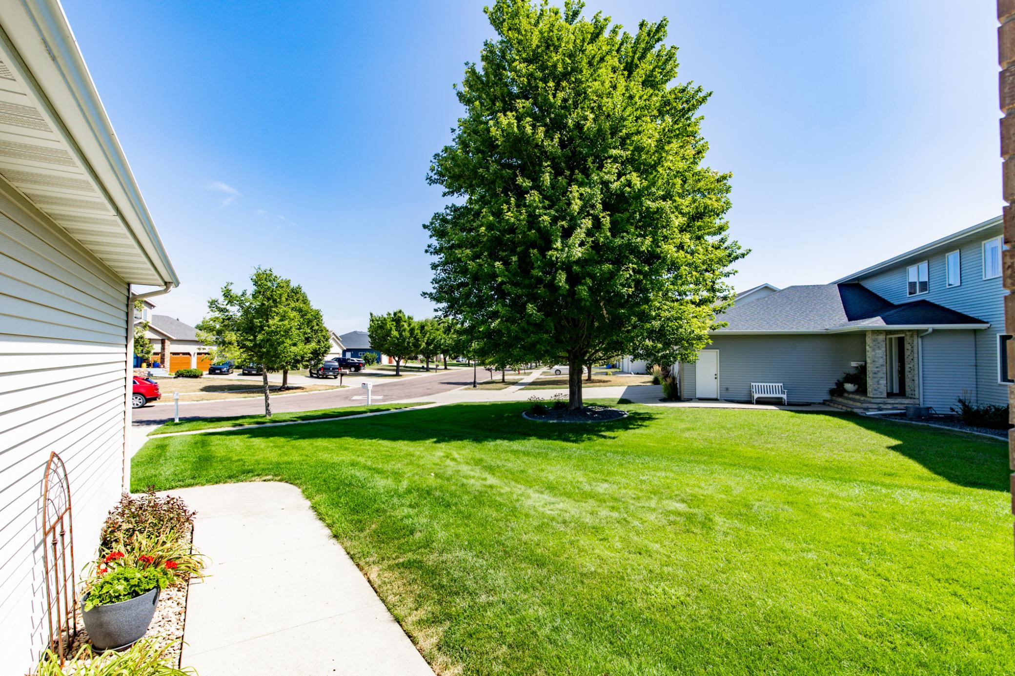 Front Yard