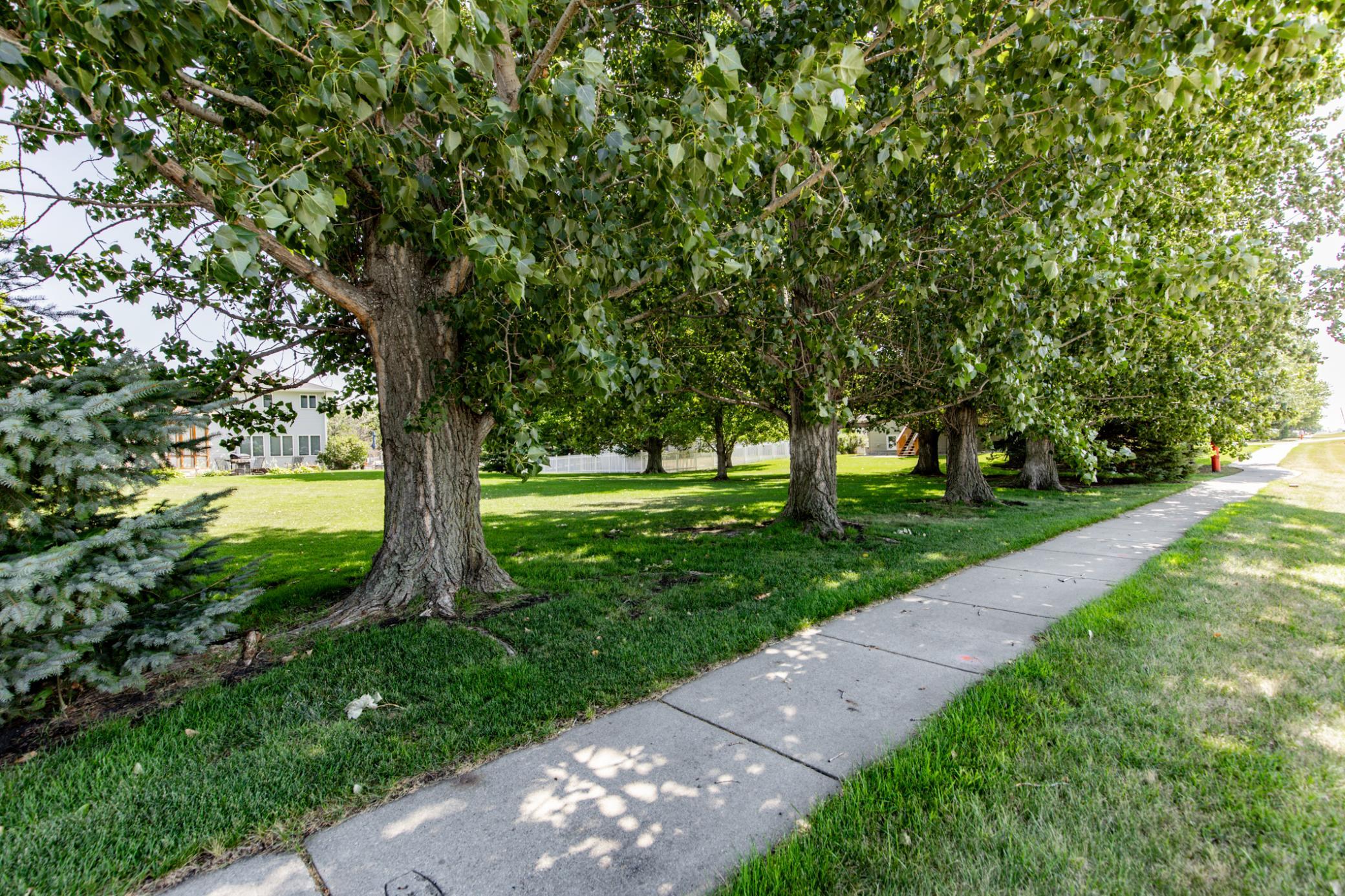 Walking Path