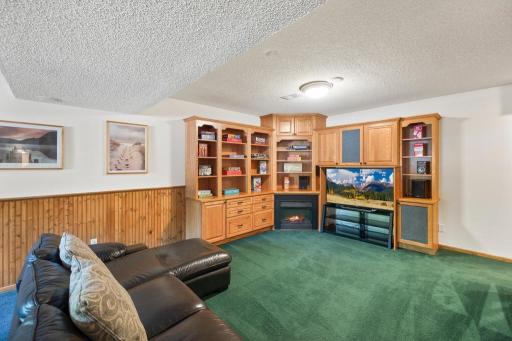 Lower-level den with built-in shelving and green carpet