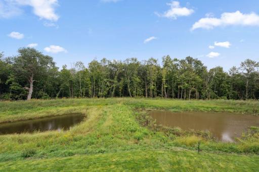 Backyard & Pond View